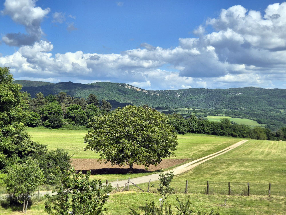 vue de la bibliothèque